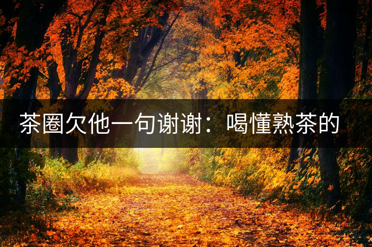 茶圈欠他一句謝謝：喝懂熟茶的人，都該記住陳佩仁這個(gè)名字