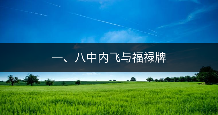 一、八中內(nèi)飛與福祿牌