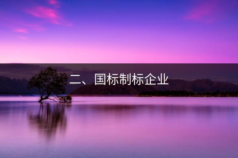 二、國(guó)標(biāo)制標(biāo)企業(yè)