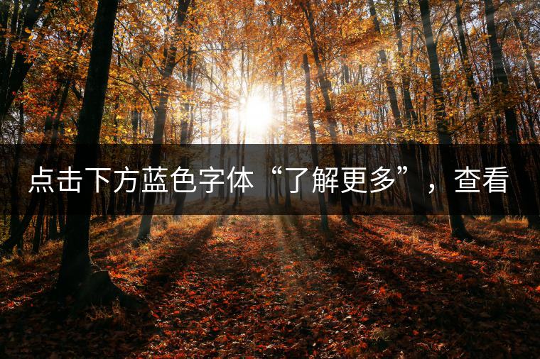 點擊下方藍(lán)色字體“了解更多”，查看文中經(jīng)典老班章普洱茶品及更多好茶！