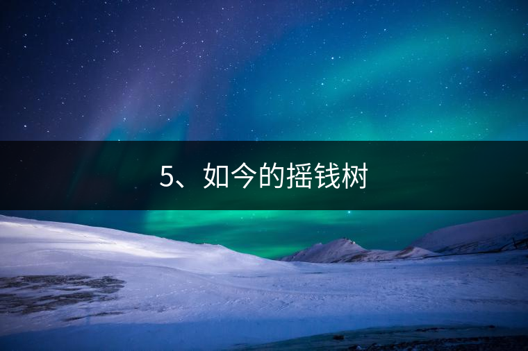 5、如今的搖錢(qián)樹(shù)