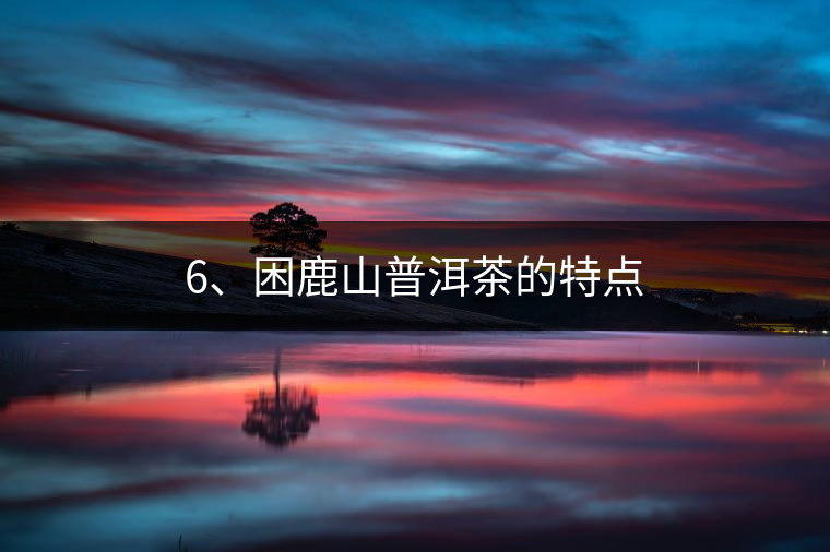 6、困鹿山普洱茶的特點(diǎn)