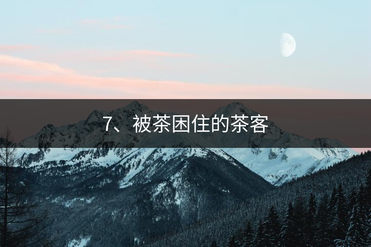 7、被茶困住的茶客