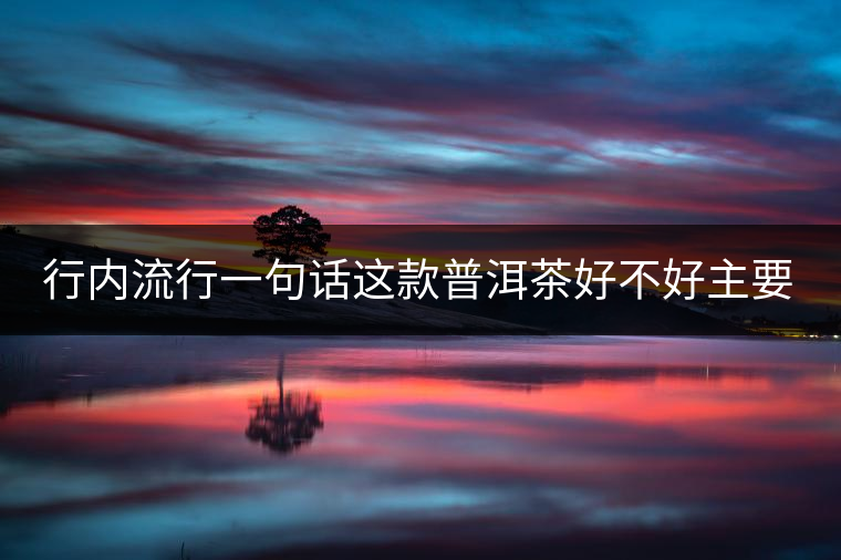 行內(nèi)流行一句話這款普洱茶好不好主要還看尾水，雖然比較片面但是也有一定道理。