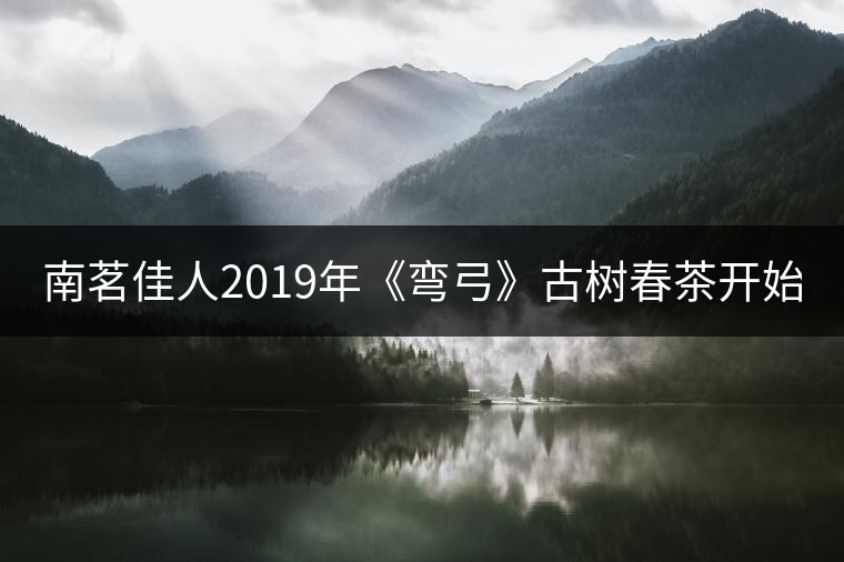 南茗佳人2019年《彎弓》古樹春茶開始預售啦！