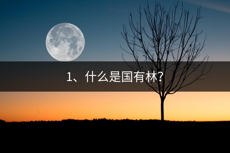 1、什么是國有林？