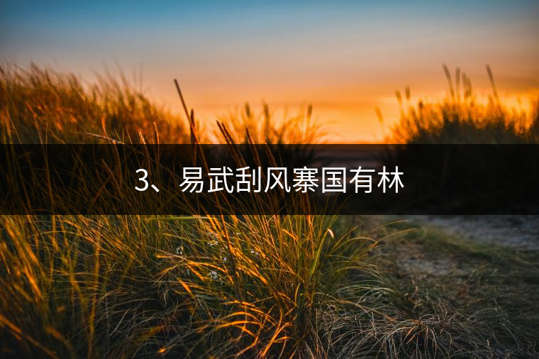 3、易武刮風(fēng)寨國有林