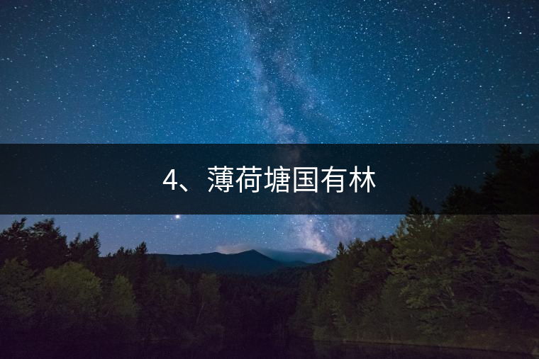 4、薄荷塘國有林