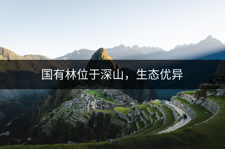 國有林位于深山，生態(tài)優(yōu)異