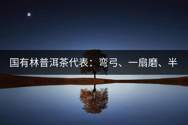 國有林普洱茶代表：彎弓、一扇磨、半坡老寨