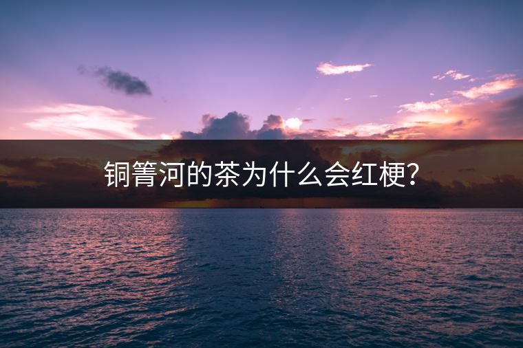 銅箐河的茶為什么會紅梗？