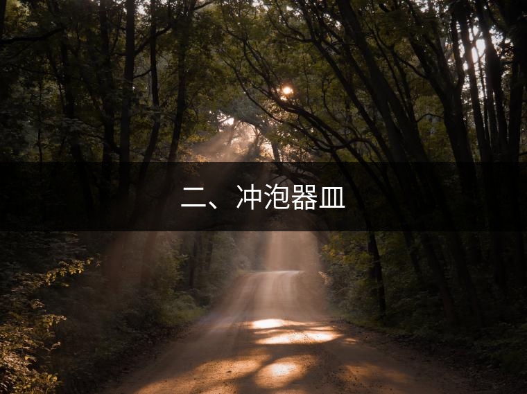 二、沖泡器皿