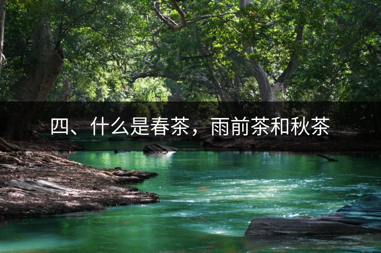 四、什么是春茶，雨前茶和秋茶