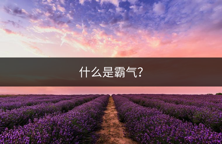 什么是霸氣？