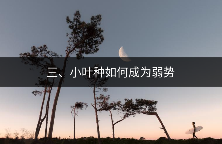 三、小葉種如何成為弱勢