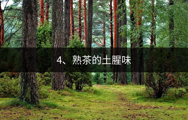 4、熟茶的土腥味
