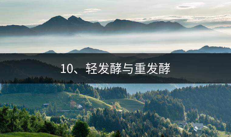 10、輕發(fā)酵與重發(fā)酵