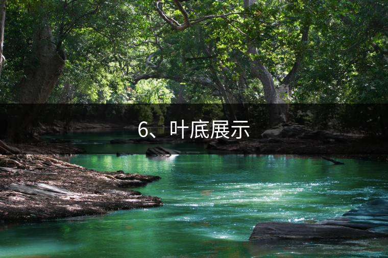 6、葉底展示