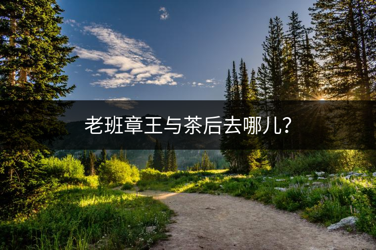 老班章王與茶后去哪兒？