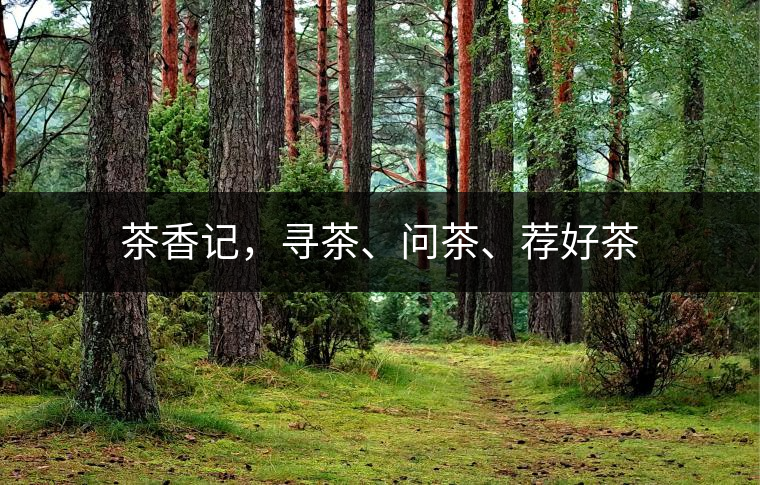 茶香記，尋茶、問(wèn)茶、薦好茶