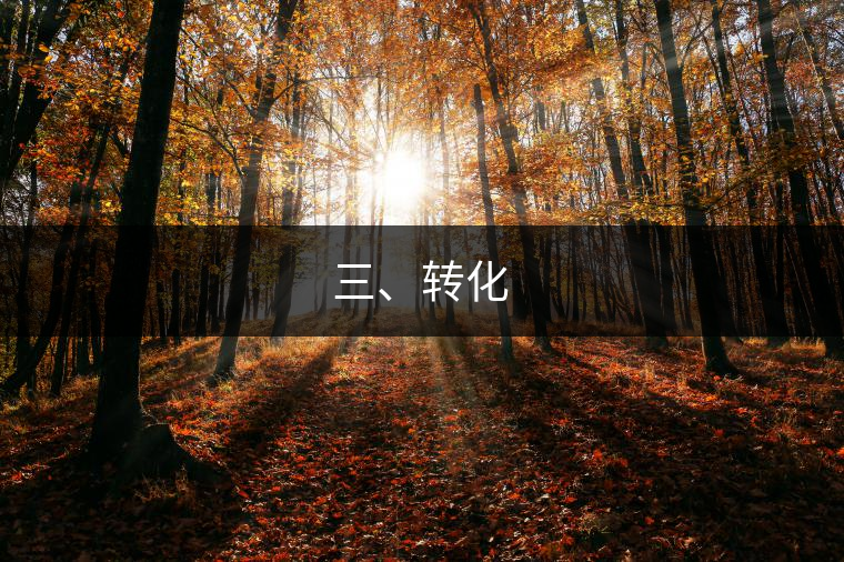 三、轉(zhuǎn)化