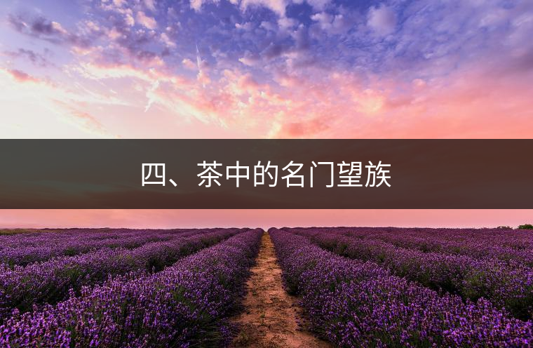 四、茶中的名門望族