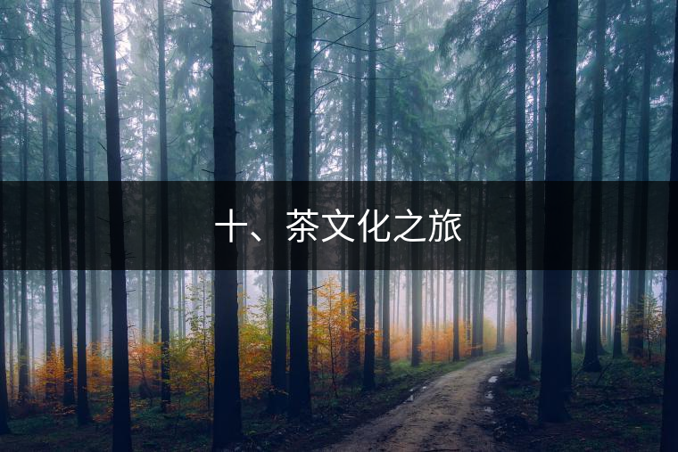 十、茶文化之旅