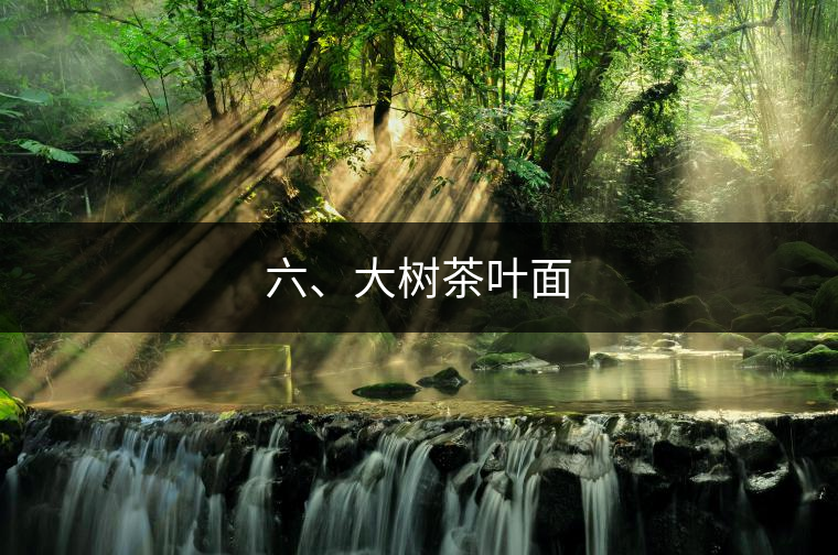 六、大樹(shù)茶葉面