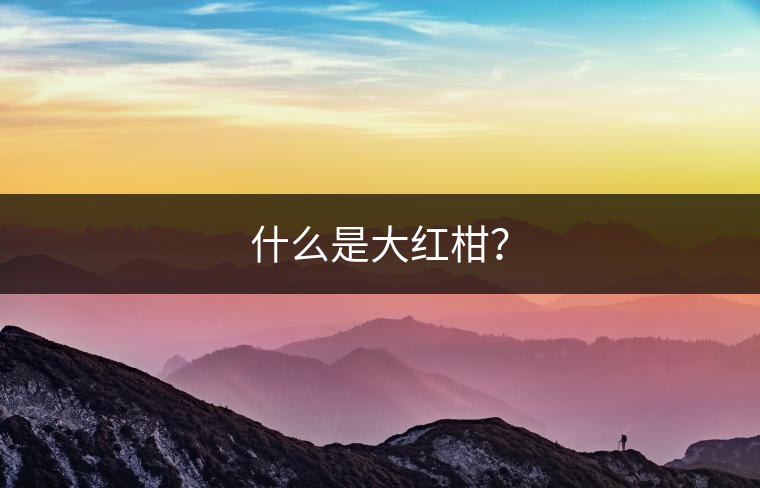 什么是大紅柑？