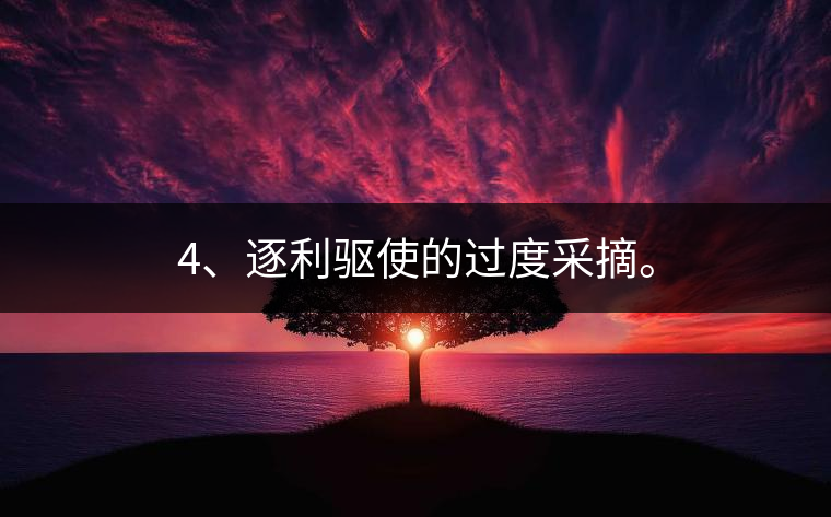 4、逐利驅(qū)使的過度采摘。