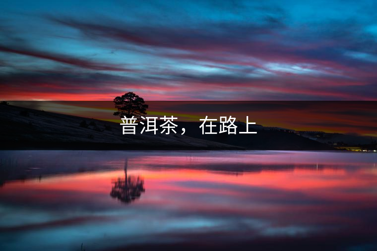 普洱茶，在路上