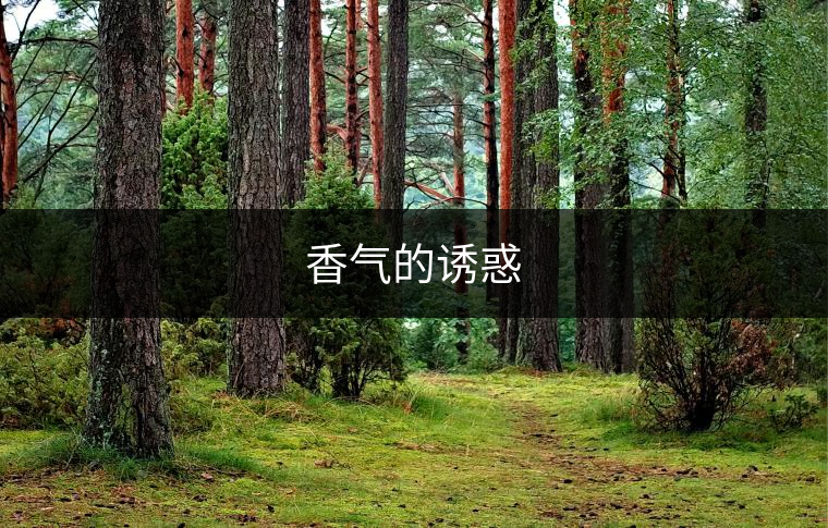 香氣的誘惑
