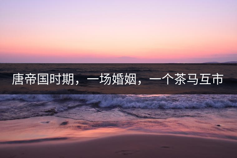 唐帝國時期，一場婚姻，一個茶馬互市，讓這里結(jié)束了漢藏對峙。宋代南茶北，西北茶馬司設(shè)立，因茶而改變的生活日益凸顯。元代八思巴與忽必烈在這一區(qū)域結(jié)盟，為蒙藏兩大民族交往鋪好通衢大道，明代俺答汗與達(dá)賴在山海之間追思各自先人，青海人宗喀巴創(chuàng)建的黃教通過蒙、藏兩大領(lǐng)袖的推廣，締造了影響至今的格局。大清經(jīng)過康、雍、乾三代勵精圖治，滿、藏、蒙各自龐大的疆域第一次完整地統(tǒng)轄在中央帝國的版圖下。