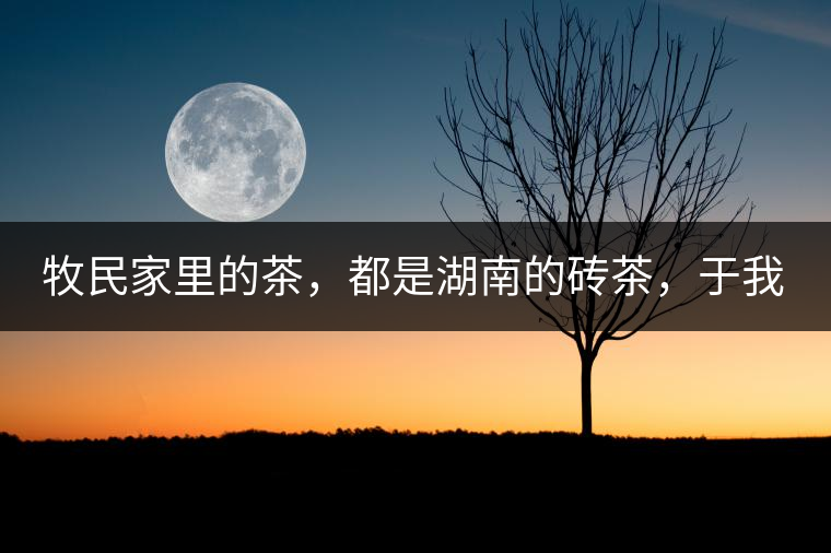 牧民家里的茶，都是湖南的磚茶，于我們而言不見得有多好，它們粗糙得看可見茶梗和樹枝，但于他們來說，卻是每日的生活必需品。端到桌上的茶碗，也是缺了口鋦過青花瓷碗，聞得見修補后的手溫，喝下加過鹽巴的磚茶，一身暖意，融化了深藏在發(fā)底的冰屑，溫暖著身心。