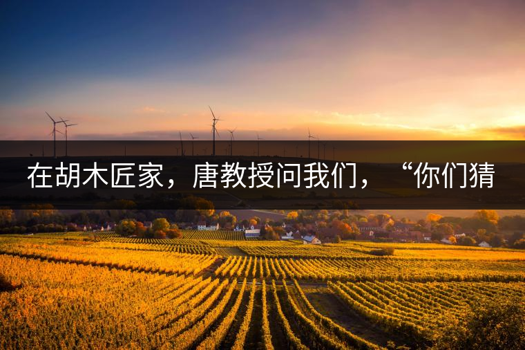 在胡木匠家，唐教授問我們，“你們猜猜他們家的茶放在哪里？”我們回答廚房、客廳都不對，“難道像寺院一樣，有專門的茶房不成？”教授和木匠都哈哈大笑，連連搖頭。在木匠的帶領(lǐng)下，我們來到主人的臥室，茶磚整齊有序地堆放在床頭柜里。一家之主的臥室，既是休息之所，亦是一家財富與傳家寶的收藏地。茶之精貴，毋需多言。