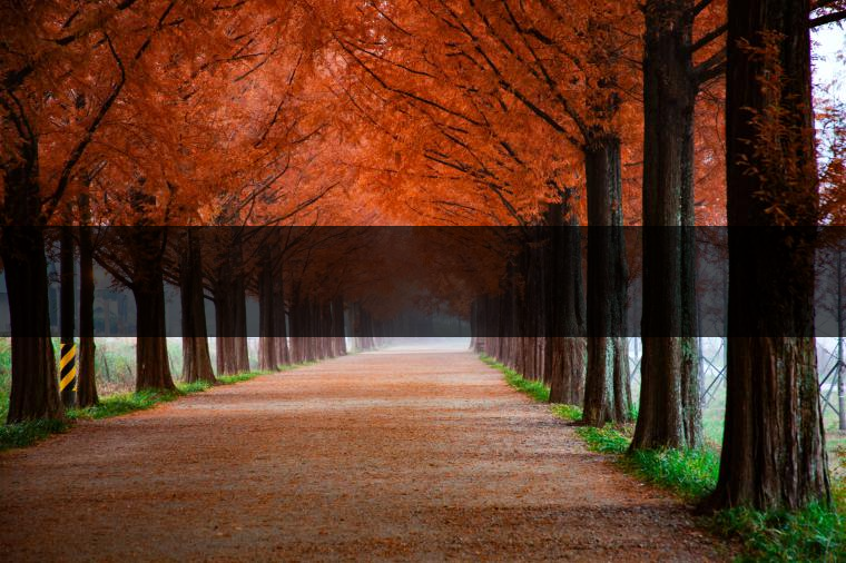 這樣的茶葉邊疆文化，也許是明代大學(xué)者解縉最樂意見到的。他曾說，中原最好的東西就是茶，而番人最好的就是馬。他贊同明廷茶馬互市的國策：茶之于夷人，如同中國之酒醴，因為茶馬貿(mào)易，許多夷人也開始學(xué)習(xí)中國的知識，對中國也有了向慕之心，那么茶的作用就很顯然，茶有著“夷夏之交，義利之辨，寅賓尚忠信而篤敬，河州固唐虞三代之邦也?！?茶不僅僅是一種飲品，還有其他。茶作為媒介，體現(xiàn)了觀念的變化。如今，隨著茶的傳播，各族人民有了更深入往來，通過貿(mào)易、文化、旅游等等。
陳渠珍從西藏抵達(dá)湟源區(qū)域時，也為這里的古風(fēng)所震驚：“余皆漢番雜處。風(fēng)俗婦女尚餞足，裙下蓮步不及三寸，服飾既古，文化尤卑，鄰居為私塾，當(dāng)見一生久讀不能成誦，塾師罰之跪，以草圈罩頭上，頻加籌石，令其跪誦。余見駭然?！?
?
（摘自《海峽茶道》，2013年5期）