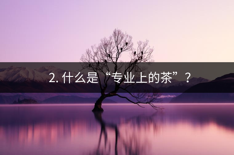 ? 2. 什么是“專業(yè)上的茶”？