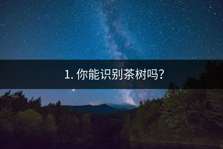 ??1. 你能識別茶樹嗎？
