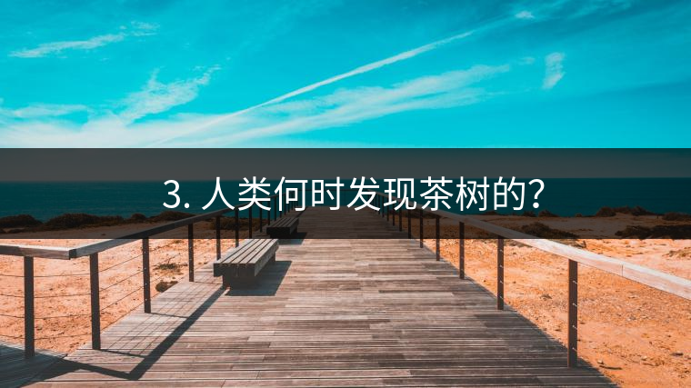 ? 3. 人類何時發(fā)現(xiàn)茶樹的？