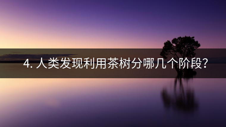 ? 4. 人類發(fā)現(xiàn)利用茶樹分哪幾個階段？