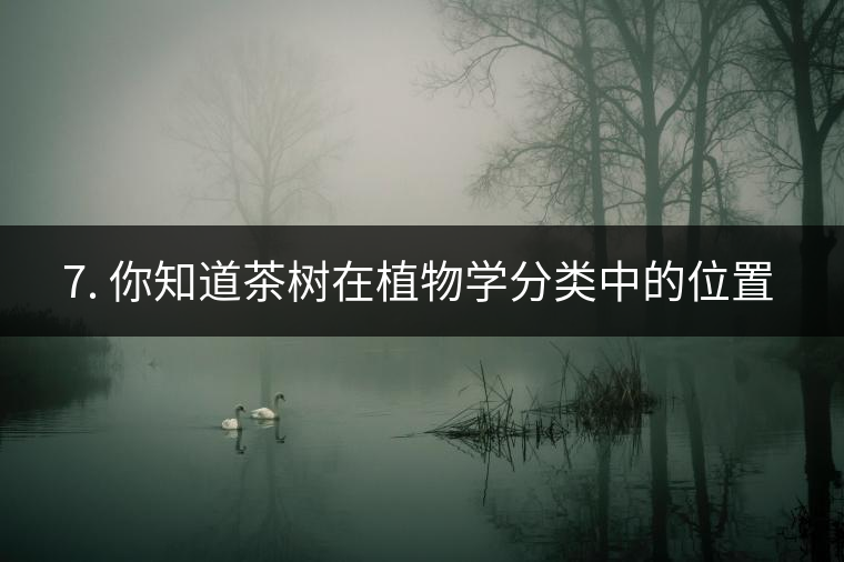 ??7. 你知道茶樹在植物學(xué)分類中的位置嗎？