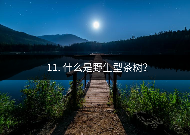 ? 11. 什么是野生型茶樹？