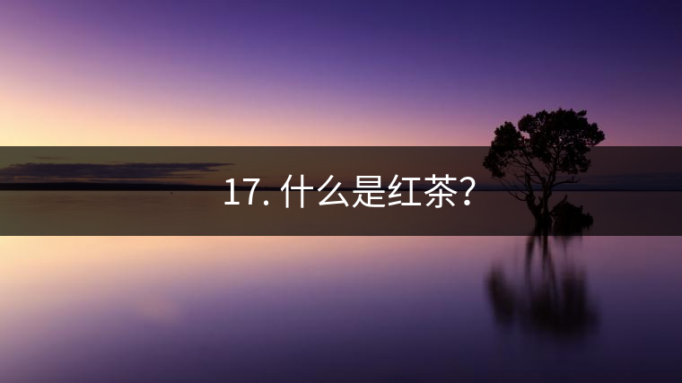 ? 17. 什么是紅茶？