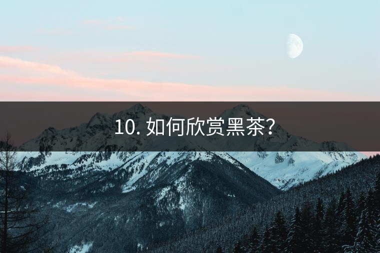 ? 10. 如何欣賞黑茶？