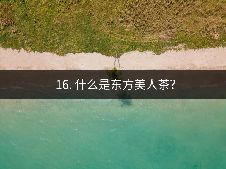 ? 16. 什么是東方美人茶？