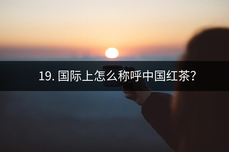 ? 19. 國際上怎么稱呼中國紅茶？
