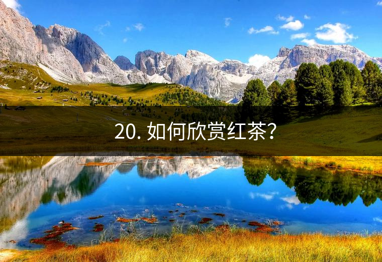 ? 20. 如何欣賞紅茶？