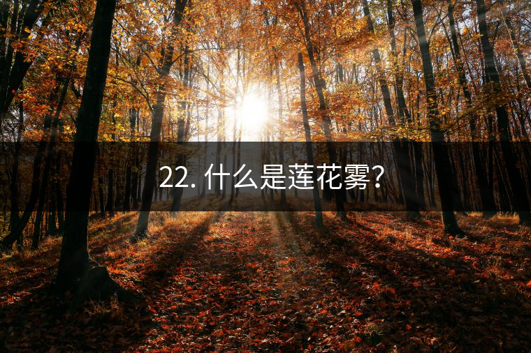? 22. 什么是蓮花霧？