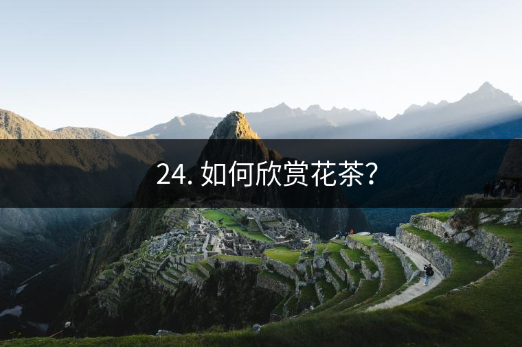 ? 24. 如何欣賞花茶？