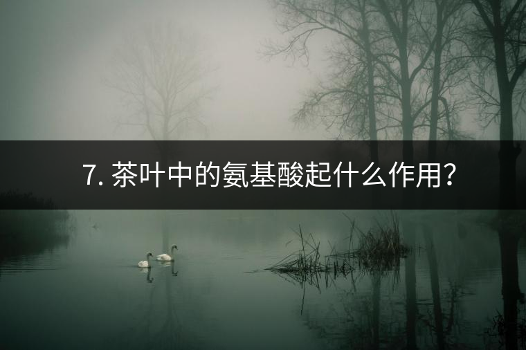 ? 7. 茶葉中的氨基酸起什么作用？